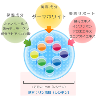 リプロスキンの有効成分